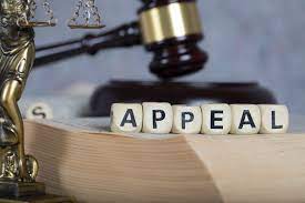 Florida Appeals Attorney